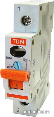 Выключатель нагрузки TDM Electric SQ0211-0009 (мини-рубильник)