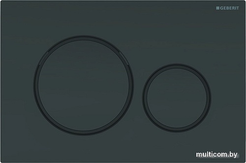 Панель смыва Geberit Sigma 20 115.882.DW.1 (черный матовый)