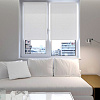 Рулонные шторы Legrand Лестер 47x175 (белый)