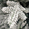 Ель GreenTerra Норвегия заснеженная 2.1 м