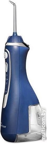 Ирригатор Waterpik WP-563