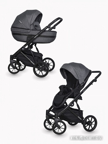 Универсальная коляска Riko Basic Delta (3 в 1, 05/carbon)