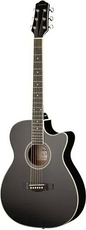 Акустическая гитара Naranda TG220CBK