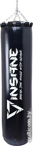 Мешок Insane PB-01 (30 кг, черный)