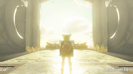 The Legend of Zelda: Tears of the Kingdom для Nintendo Switch