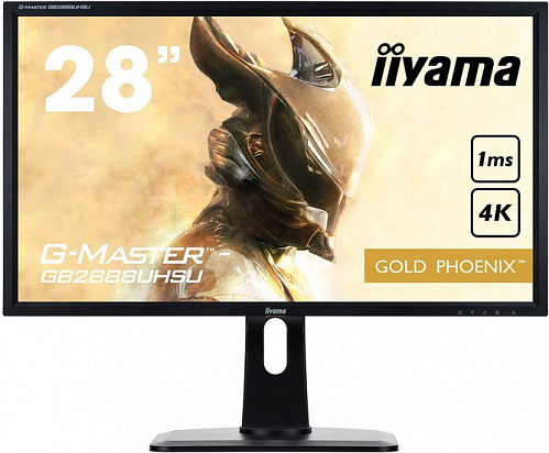 Монитор Iiyama G-MASTER GB2888UHSU-B1