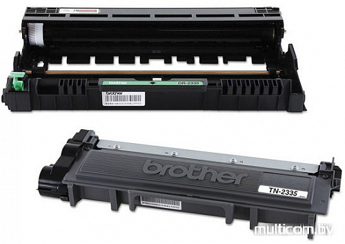 МФУ Brother MFC-L2700DNR
