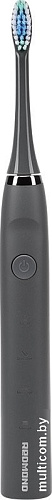 Электрическая зубная щетка Redmond TB4601 (серый)
