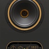 Монитор ближнего поля Tannoy Gold 5