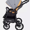 Универсальная коляска Rant Patio (2 в 1, 02, серый/желтый)