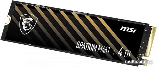 SSD MSI Spatium M461 4TB S78-440R030-P83