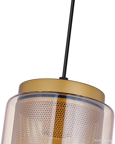 Подвесная люстра F-Promo 4346-1P