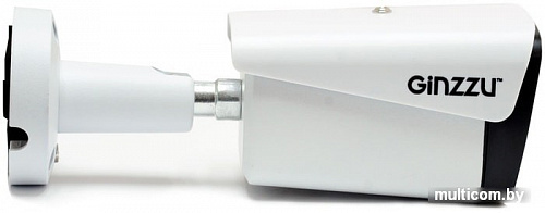 IP-камера Ginzzu HIB-5301A