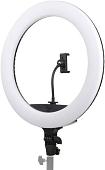 Кольцевая лампа Falcon Eyes BeautyLight 450R LED