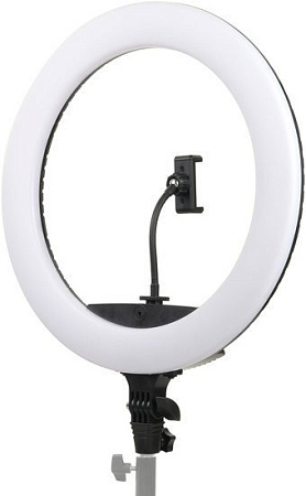 Кольцевая лампа Falcon Eyes BeautyLight 450R LED