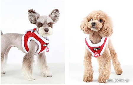 Шлейка Puppia Blitzen-B PAQD-AH1470-RD-XL (красный)