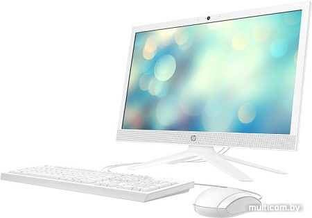 Моноблок HP 21-b0014ur 2S7M9EA