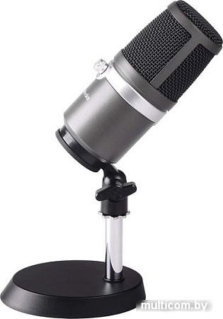 Микрофон AverMedia Live Streamer MIC 310 AM310