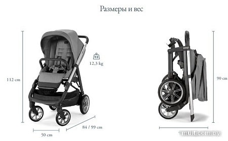 Коляска прогулочная «книга» Inglesina Aptica 2022 (silk grey)