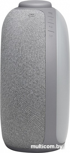 Часы JBL Horizon 2 FM (серый)