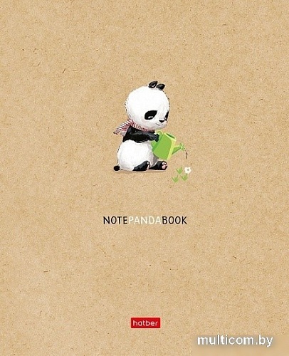 Полуобщая тетрадь Hatber Panda Book 48Т5В1 (48 л, в ассортименте)