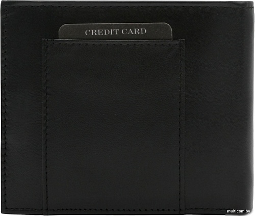 Портмоне Always Wild N992-P-GCL-7622 (черный)