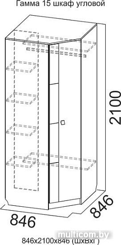 Шкаф распашной SV-Мебель Гостиная Гамма 15 угловой (дуб венге/дуб млечный)