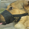 Намордник Beeztees S 765380