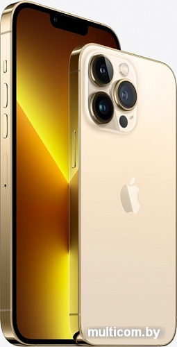 Смартфон Apple iPhone 13 Pro Max 256GB (золотой)
