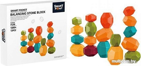 Развивающая игра Panawealth 2045205-S-A012