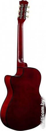 Акустическая гитара Terris TF-3802C SB
