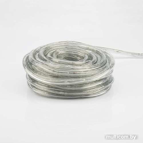 Дюралайт Neo-Neon LED фиксинг 121-329-10 (10 м, мульти)