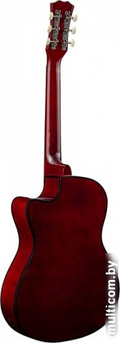 Акустическая гитара Terris TF-3802C SB