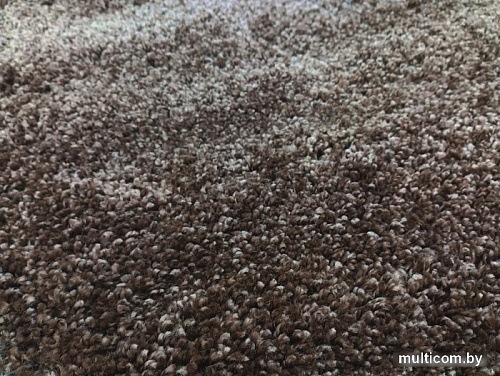 Ковер для жилой комнаты Витебские ковры Шегги овал 18С36-ВИ sh 58 (2x4)