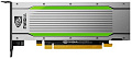 Видеокарта NVIDIA Tesla T4 16GB GDDR6 900-2G183-6300-T00