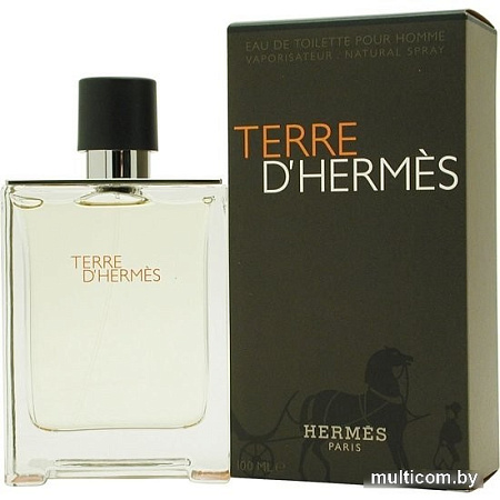 Hermes Terre d'Hermes EdT (100 мл)