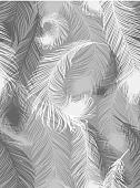 Фотообои Vimala Рисованные перья 270x200