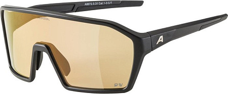 Солнцезащитные очки Alpina Ram Q-Lite Varioflex A8672031 (black matt/vario red mirror)