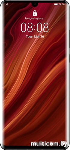 Смартфон Huawei P30 Pro VOG-L29 Dual SIM 8GB/256GB (черный)