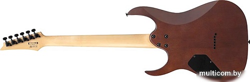 Электрогитара Ibanez GRG121DX WNF