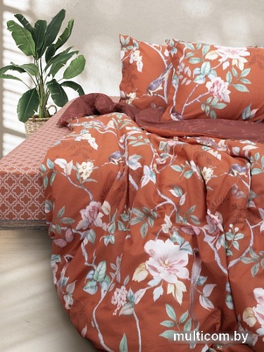 Viva La Vita 71181/1 294071