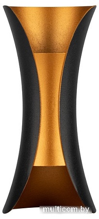 Фасадный светильник ЭРА WL42 BK+GD светодиодная 10Вт 3500К IP54 Б0054420 (черный/золото)