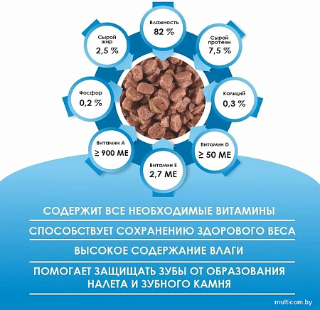 Консервированный корм для кошек Kissa С рыбой в соусе (28x75г)