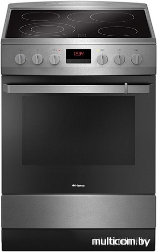 Кухонная плита Hansa FCCX68219