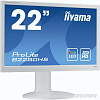 Монитор Iiyama ProLite B2280HS-W1