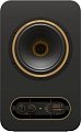 Монитор ближнего поля Tannoy Gold 7