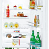 Однокамерный холодильник Liebherr IK 2764