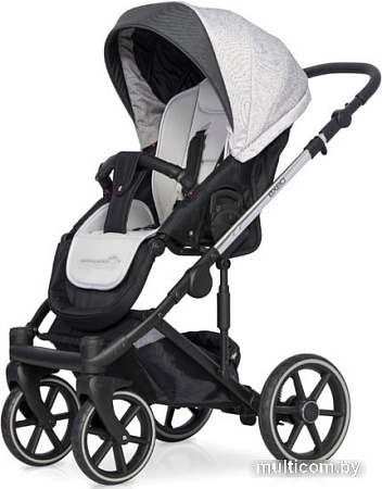 Универсальная коляска Expander Exeo (2 в 1, 01 silver)
