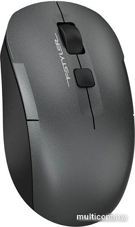 Мышь A4Tech Fstyler FG16C Air (серый)