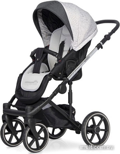Универсальная коляска Expander Exeo (2 в 1, 01 silver)